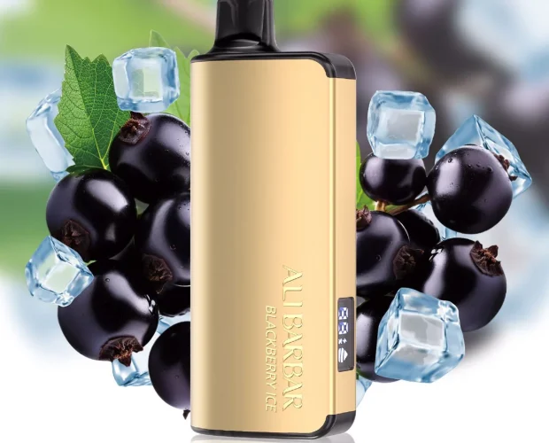 BlackberryIce - My Journey from Smoker to Vaper: How the ALIBARBAR INGOT 9000 Made the Impossible, Possible